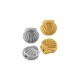 Perle Coquillage en Acier Inoxydable 304 7,1 mm/4,4 mm Ø0,8 mm