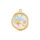 Ανοξείδωτο Ατσάλι 304 Αστερίας με Σμάλτο 15.5x19.3mm/2.1mm