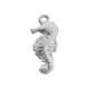 Charm Hippocampe en Acier Inoxydable 304 9,5 x 20 mm