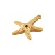 Stainless Steel 304 Pendant Starfish with Strass 22x25.5mm