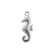 Charm Hippocampe en Acier Inoxydable 304 6,25 x 16,9 mm/2,85 mm