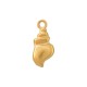Breloque Coquillage en Acier Inoxydable 304 5,5 x 12,38 mm/3,8 mm