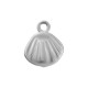 Stainless Steel 304 Charm Shell 7.7x9.3mm/2.3mm