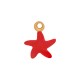Charm Estrella De Mar De Acero Inoxidable 304 Esmaltado 5 x 6 mm/1,2 mm