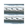 Plata