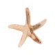 Resin Starfish 38mm/6mm