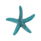 Resin Starfish 38mm/6mm