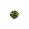 Green/ Black