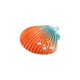 Ρητίνη Μοτίφ Αχιβάδα Κοχύλι 38x35mm
