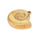 Colgante de Acrílico UV Concha 34x23.5mm/9mm Ø2mm