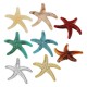 Acrylic Slider Starfish 43x41mm/9mm Ø2mm