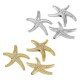 Acrylic Slider Starfish 43x41mm/9mm Ø2mm