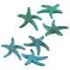 Acrylic Slider Starfish 43x41mm/9mm Ø2mm