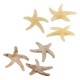 Acrylic Slider Starfish 43x41mm/9mm Ø2mm