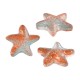 Glass Bead Starfish 14x15mm/7mm Ø0.9mm