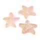 Glass Bead Starfish 14x15mm/7mm Ø0.9mm