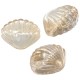 Perle de Verre Coquillage 16,5 x 13 mm/9 mm Ø 1,2 mm