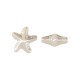 Perla ABS con forma de Estrella de Mar 19 x 18 mm/9,1 mm Ø1,5 mm