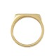 Stainless Steel 304 Finger Ring Line 15x3.5mm Ø18mm Size 8)