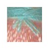 Doré/Pêche/Veraman