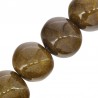 Olive Gold Glitter