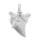 Zamak Pendant Tooth 30x40mm