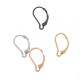 Brass Ear Hook 10x14mm