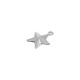 Brass Charm Star 12mm
