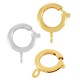 Brass Lobster Clasp Round 14mm/2.2mm