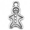 Argent Vieilli 999°/5μm