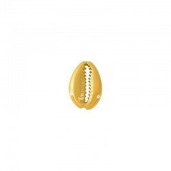 Connettore in Metallo Zama Conchiglia 19x13mm
