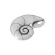 Zamak Pendant Shell Snail 22x30mm