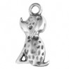 Argento Anticato 999°/5μm