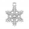 Argent Vieilli 999°/5μm