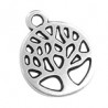 Argent Vieilli 999°/5μm