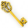 24K Gold Plated/ 0.12µm