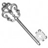 Argent Vieilli 999°/5μm