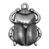 Argent Vieilli 999°/5μm