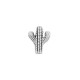 Passante in Metallo Zama Cactus 10x12mm (Ø1.6mm)