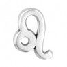 Argent Vieilli 999°/5μm