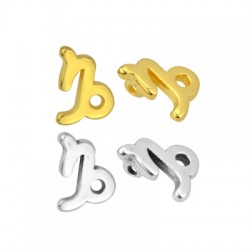 Charm en Zamak Zodiaque Capricorne 10 x 14 mm Ø 1.8 mm