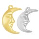 Pendentif en Zamak en Forme de lune 18 x 26 mm