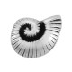Zamak Slider Shell 11mm Ø5.2x2.2mm