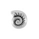 Passante in Zama Conchiglia 12x14mm (Ø2.2mm)