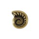 Passante in Zama Conchiglia 12x14mm (Ø2.2mm)