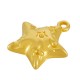 Zamak Charm Star 17mm