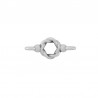 Argent Vieilli 999°/5μm