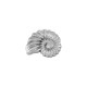 Passante in Zama Conchiglia ~18x14mm (Ø1.8mm)