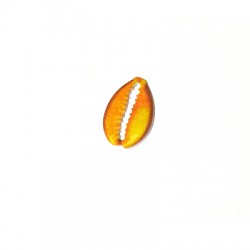 Connecteur en Acrylique Plexi Coquillage 14 x 20 mm