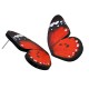 Boucles D'Oreilles en Acrylique Plexi Papillon 25 x 43 mm (2 Pièces/Set)